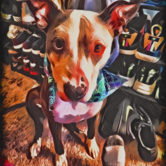 Meet your Posher, Charles - Picture 2 of 4